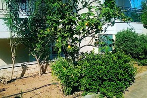 Villa | Property grounds