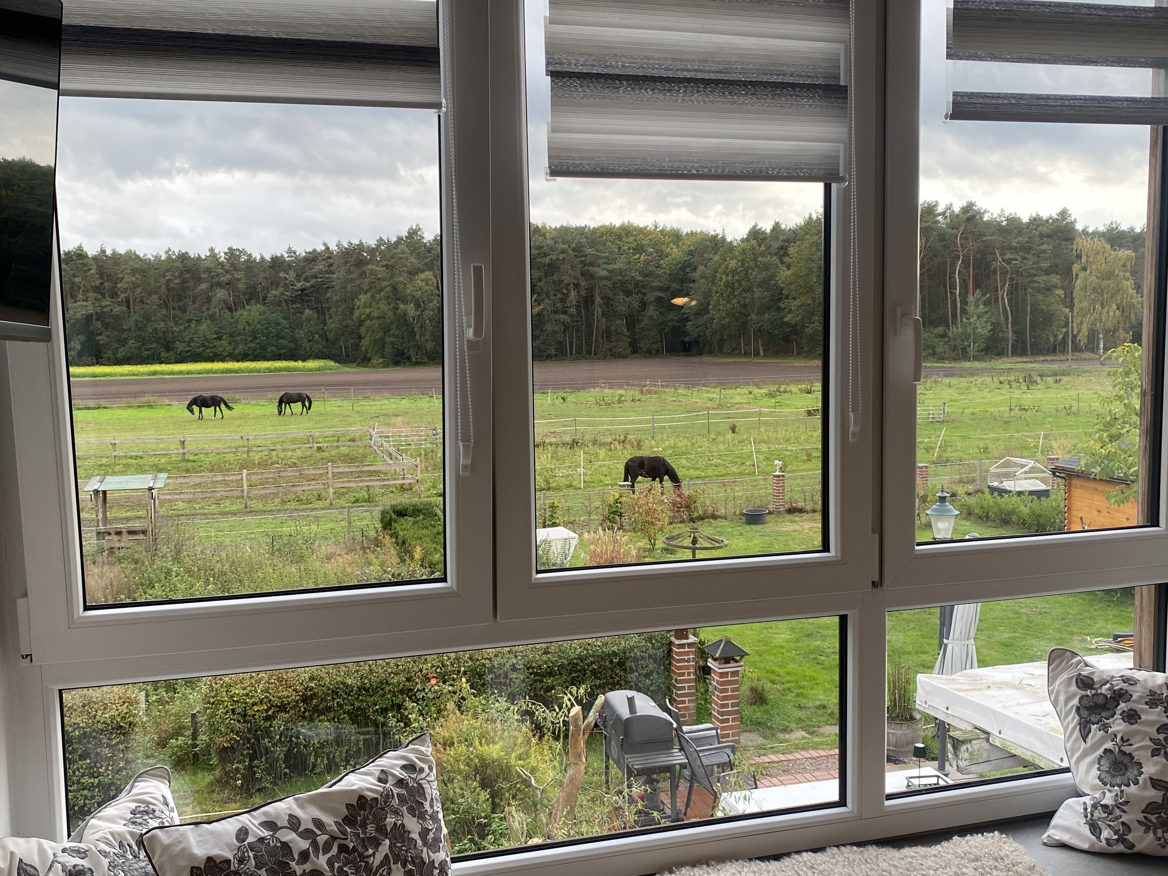 A room with a large window overlooking a grassy field with horses.