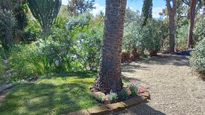 A garden with a gravel path, a palm tree, and various shrubs. - Holiday Home 'Apt in Serra' with Private Pool, Wi-Fi & Air Conditioning (Quartu Sant'Elena)