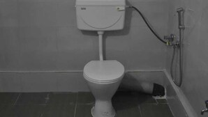 A small, compact bathroom with a white toilet, a shower unit, and tiled walls. - Homocation Ray Homestay (Barnagar)