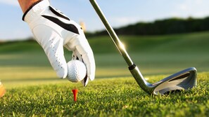 Golf - InterContinental Tashkent by IHG (Tashkent)