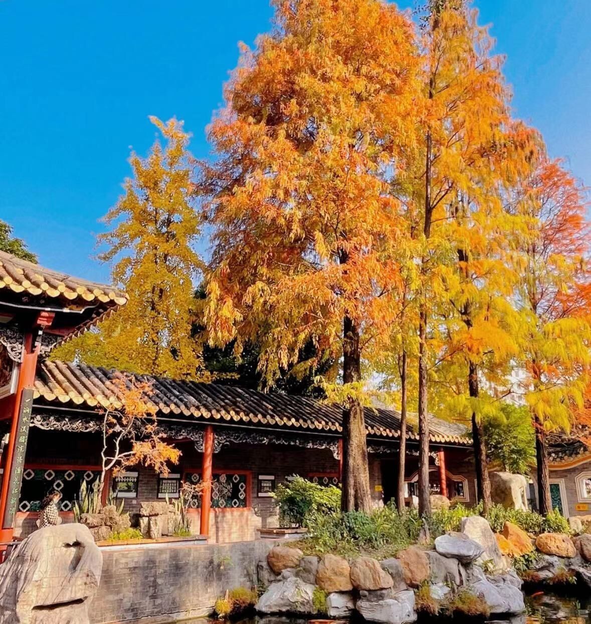 A traditional building with a tiled roof and a stone pathway leading to a pond.