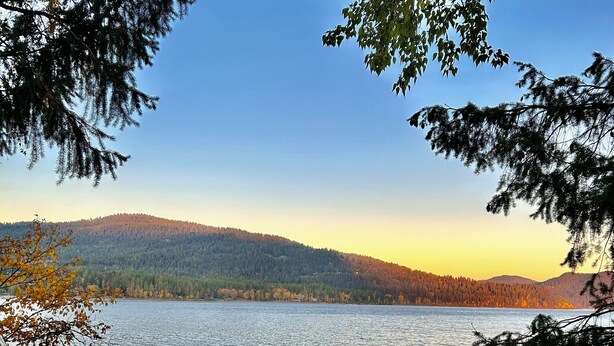 Ein See mit bewaldeter Hang im Hintergrund.