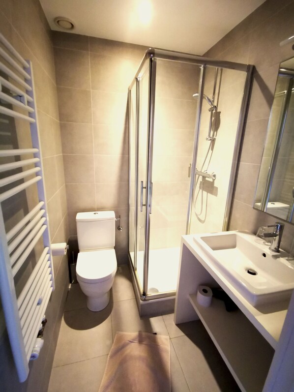 A modern bathroom with a glass shower enclosure, a toilet, and a sink with a mirror.