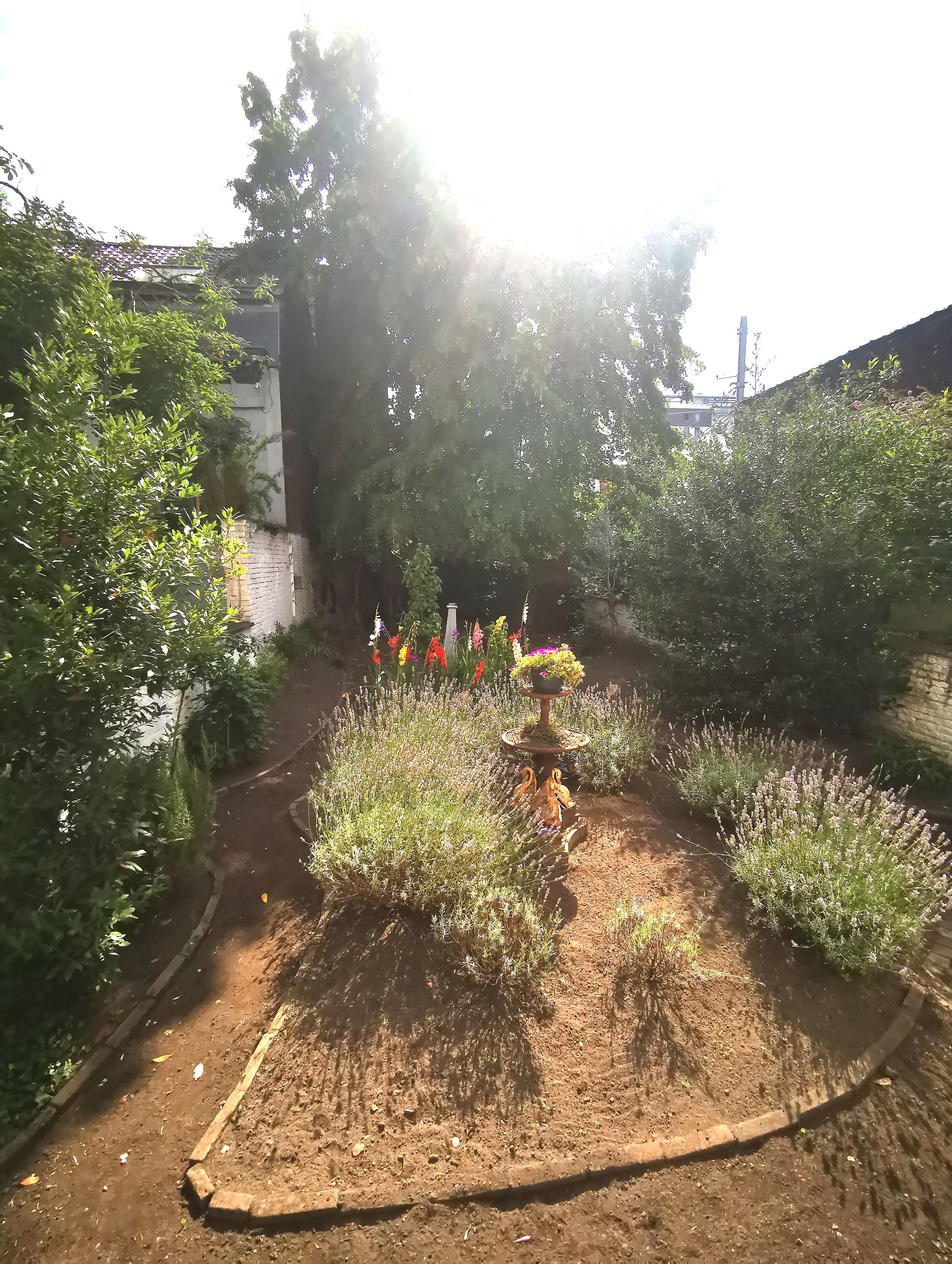 Foto - Maison Jamaer