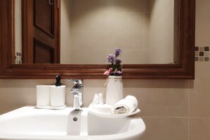 Douche, serviettes fournies, papier toilette