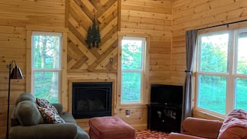 TV, fireplace, DVD player, books