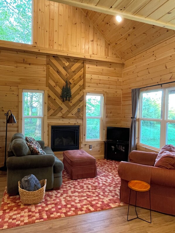 Télévision, cheminée, lecteur de DVD, livres