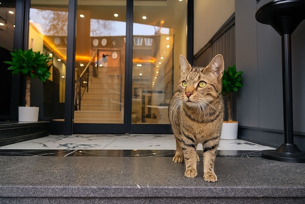 Property entrance