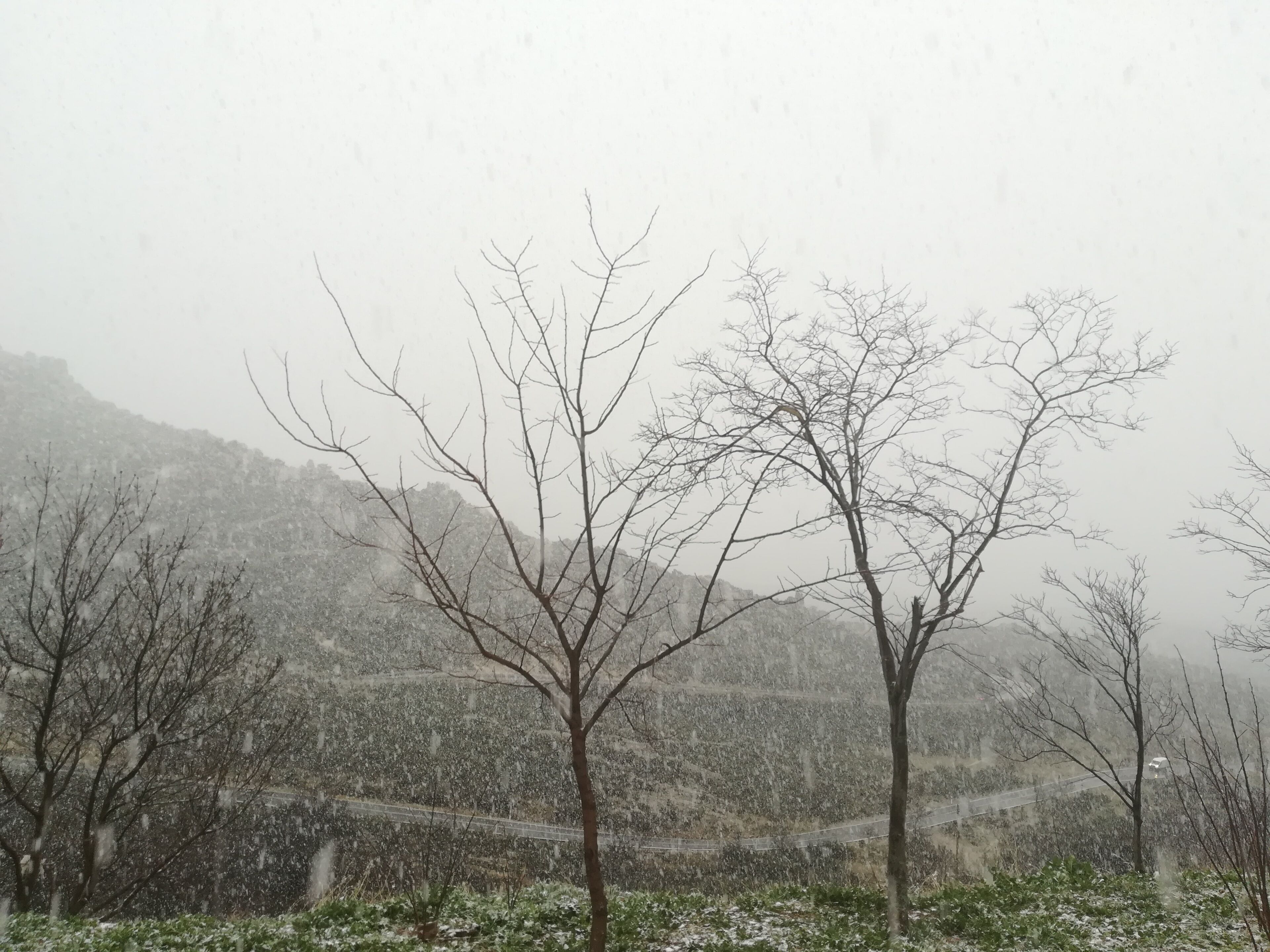 Photo - Casa de huéspedes Villa de las Hortensias