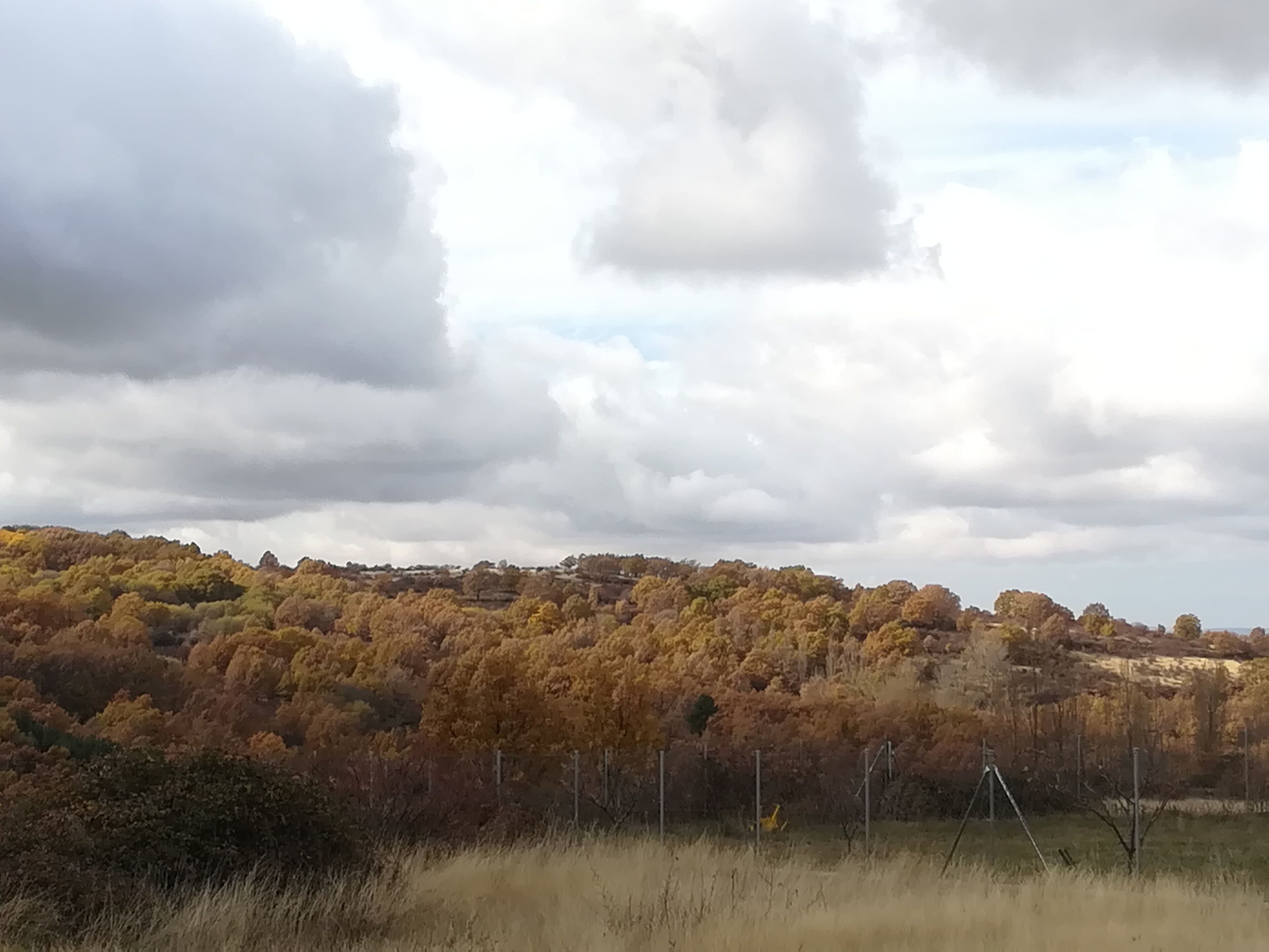 A landscape with autumn-colored trees and a cloudy sky.