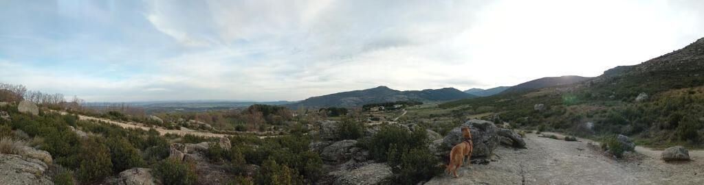 Photo - Casa de huéspedes Villa de las Hortensias