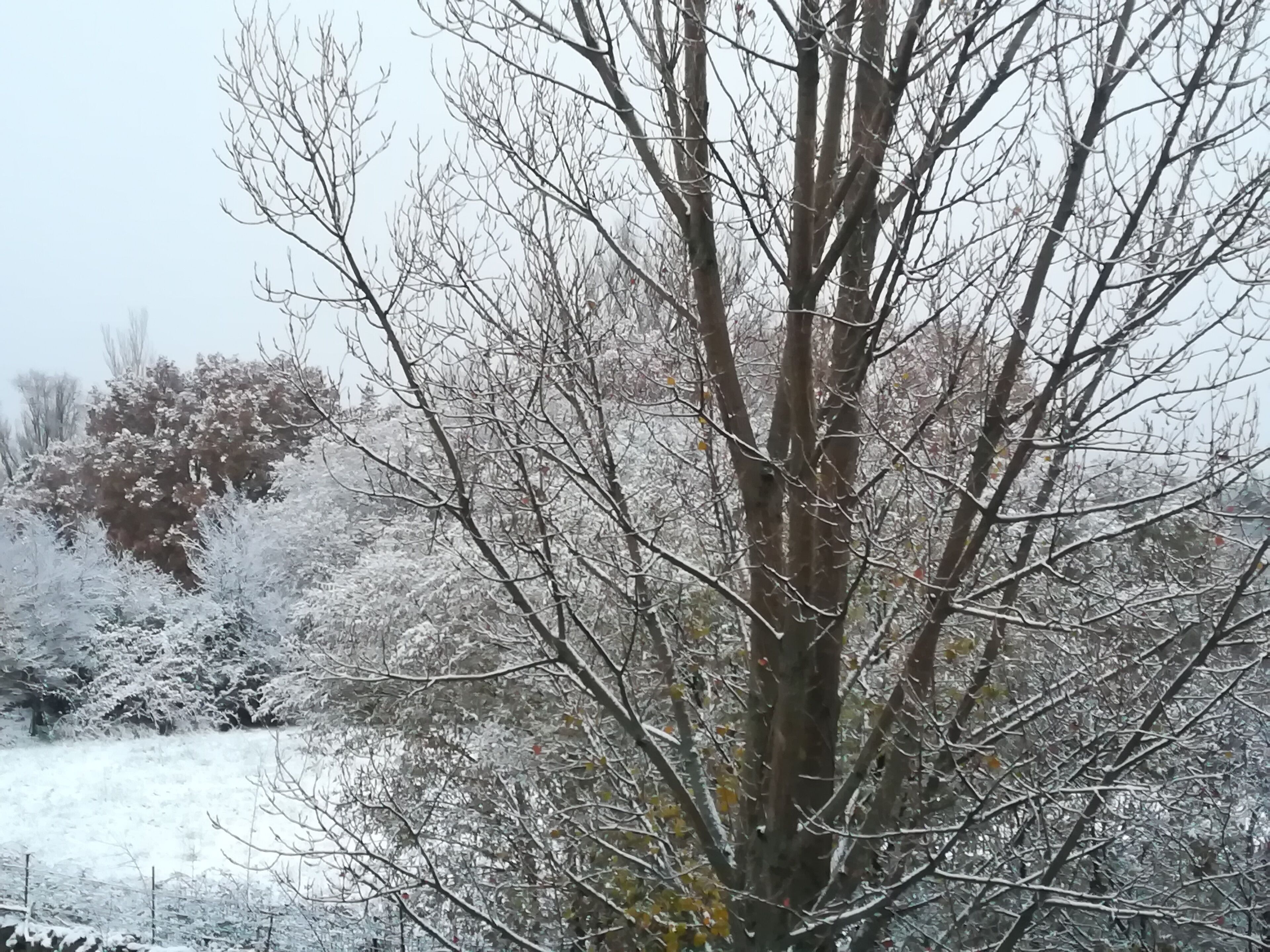 Photo - Casa de huéspedes Villa de las Hortensias