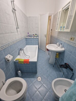 Bathtub, hair dryer, bidet, towels