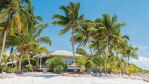 A beachfront property with a house surrounded by palm trees and a sandy beach.