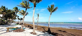 Hammock House - Beach Houses Key West