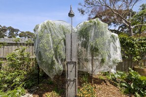A garden with a central structure covered in mesh, surrounded by various plants and a wooden fence in the background.