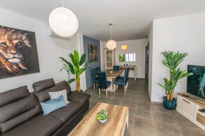 تلفزيون، مشغل دي في دي