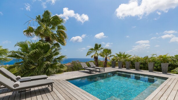 Une piscine rectangulaire avec une terrasse en bois, deux chaises longues et des palmiers.