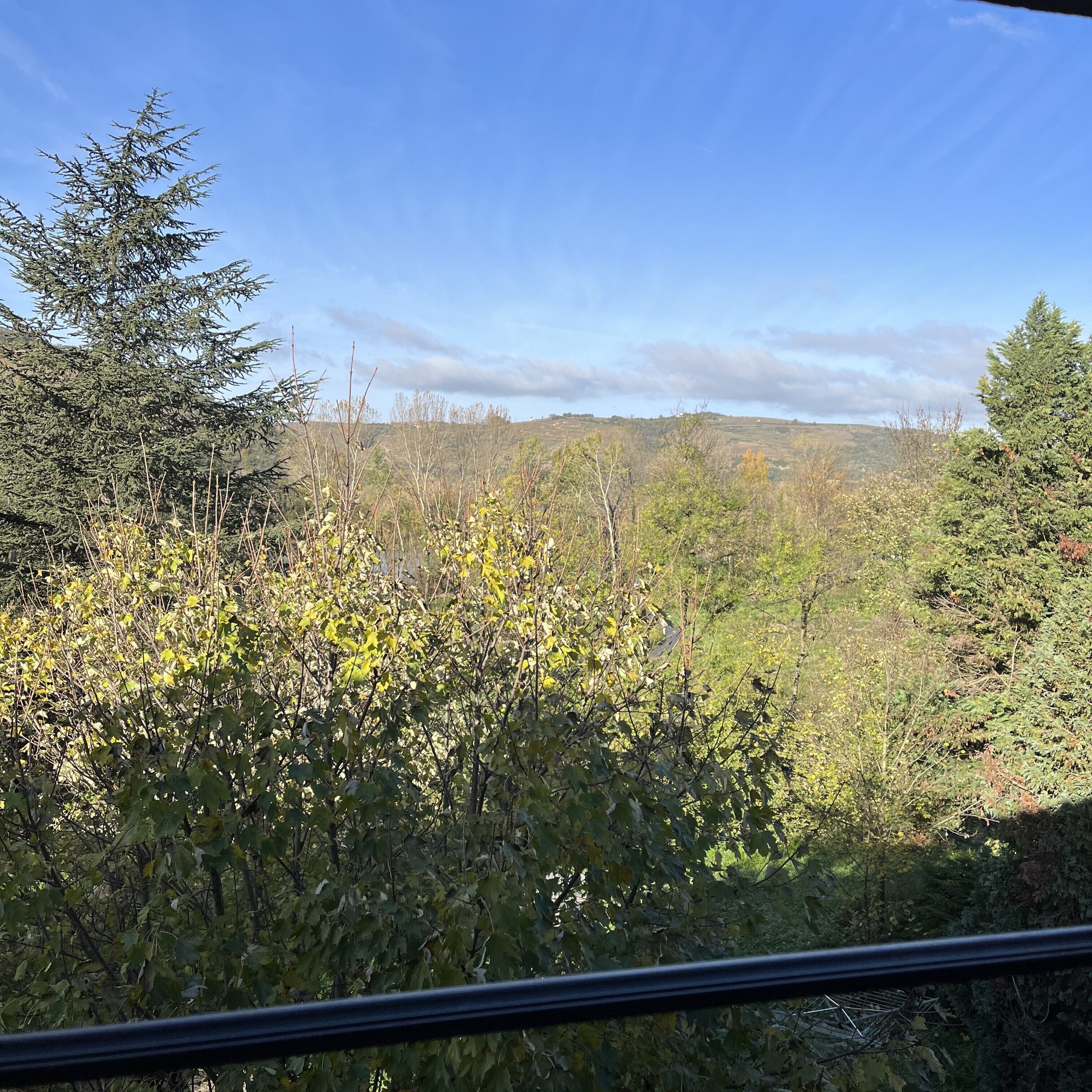 A view from a window overlooking a forested area with a clear sky.