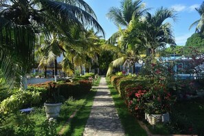 Stroll through lush gardens, lined with vibrant flowers and palm trees, to the hotel entrance.