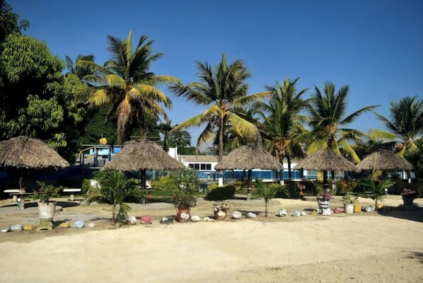 Relax in a tropical paradise surrounded by palm trees and thatched-roof structures.
