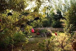 Property grounds - Babis Hotel (Rethymno)