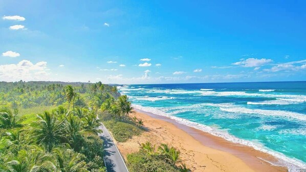 Beach - Garden Relaxing Room: Heated Pool & Jacuzzi (Arecibo)
