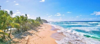 Garden Relaxing Room: Heated Pool & Jacuzzi