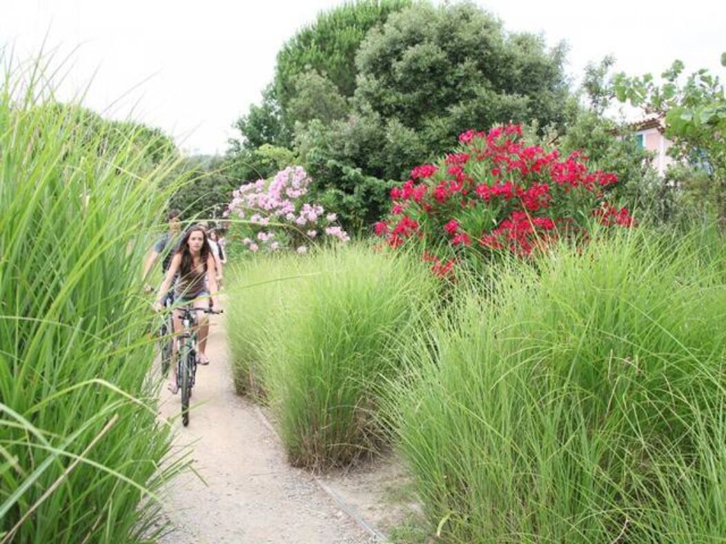 A narrow dirt path with tall grass on either side, leading to a building surrounded by lush greenery and flowering plants.