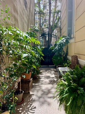 A narrow courtyard with potted plants, a metal gate, and a table with chairs. - Baloo Hostel (Athens)