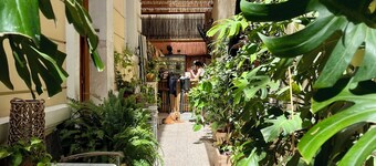 Baloo Hostel