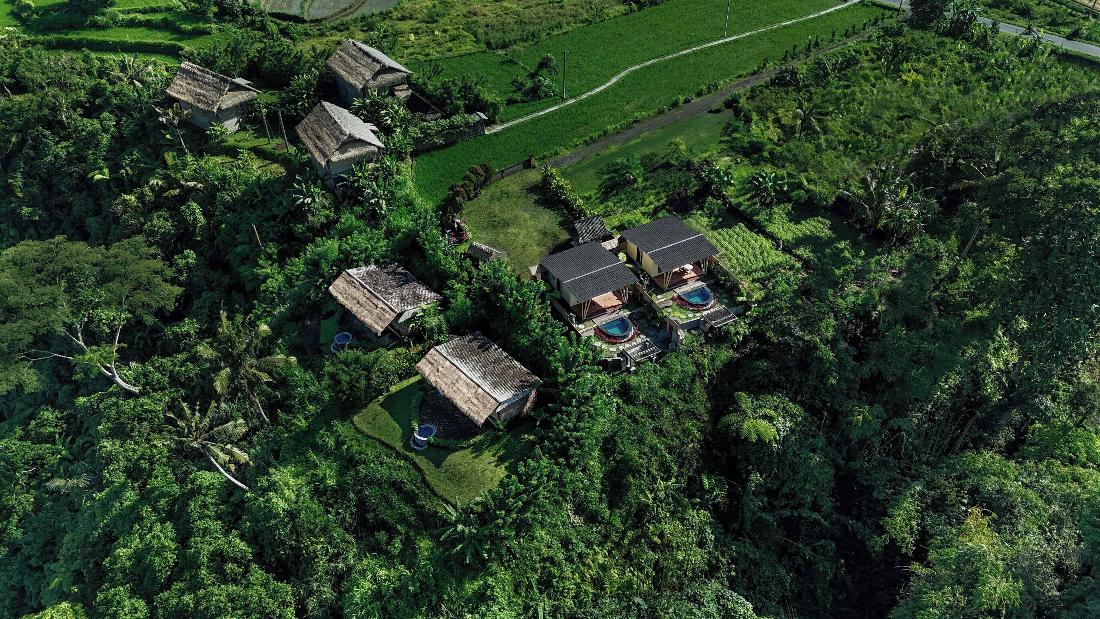 An aerial view of a rural area with several thatched-roof houses surrounded by dense vegetation.