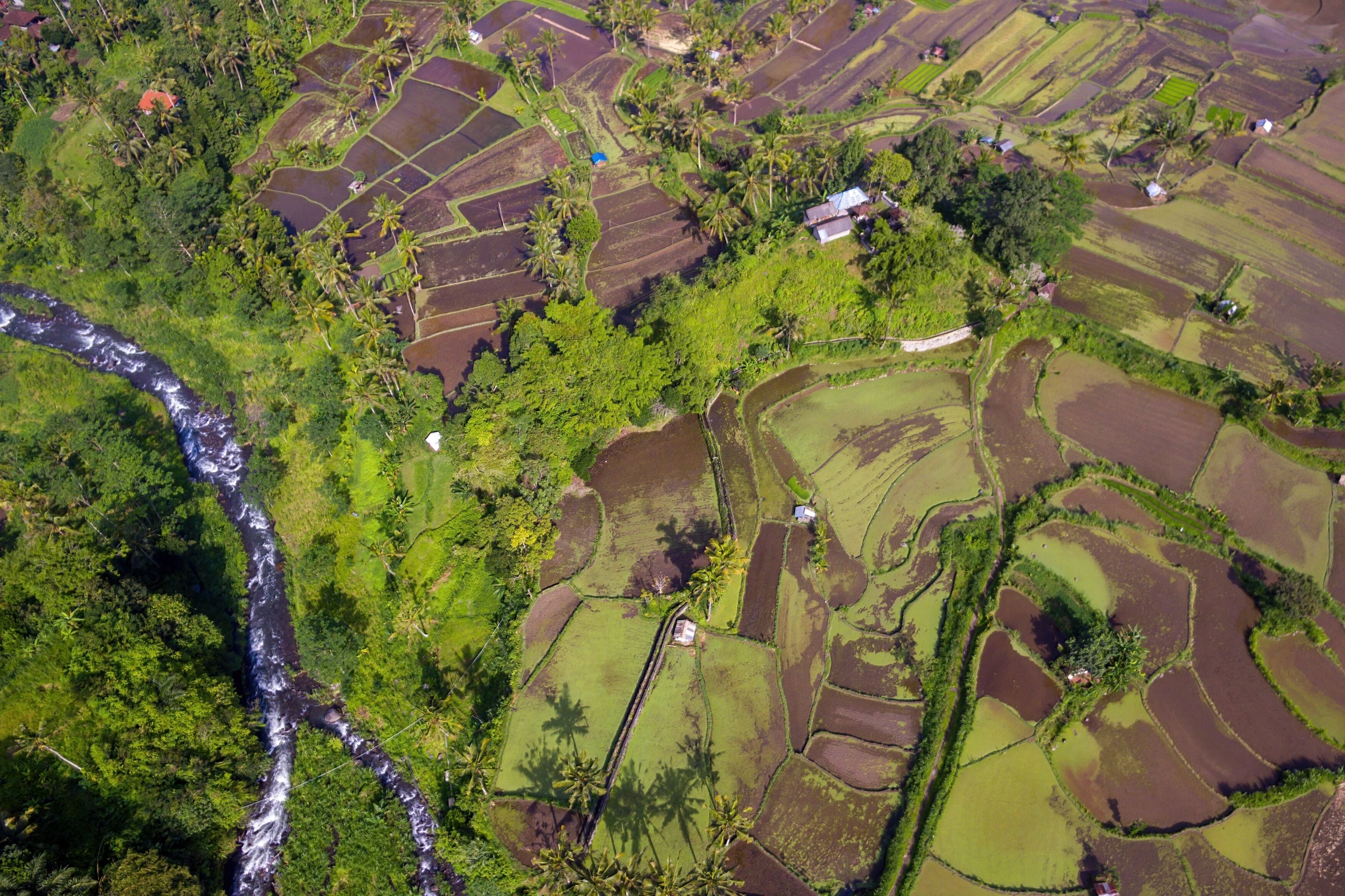 Vista aérea de uma paisagem rural com campos em socalcos, um rio e casas dispersas.