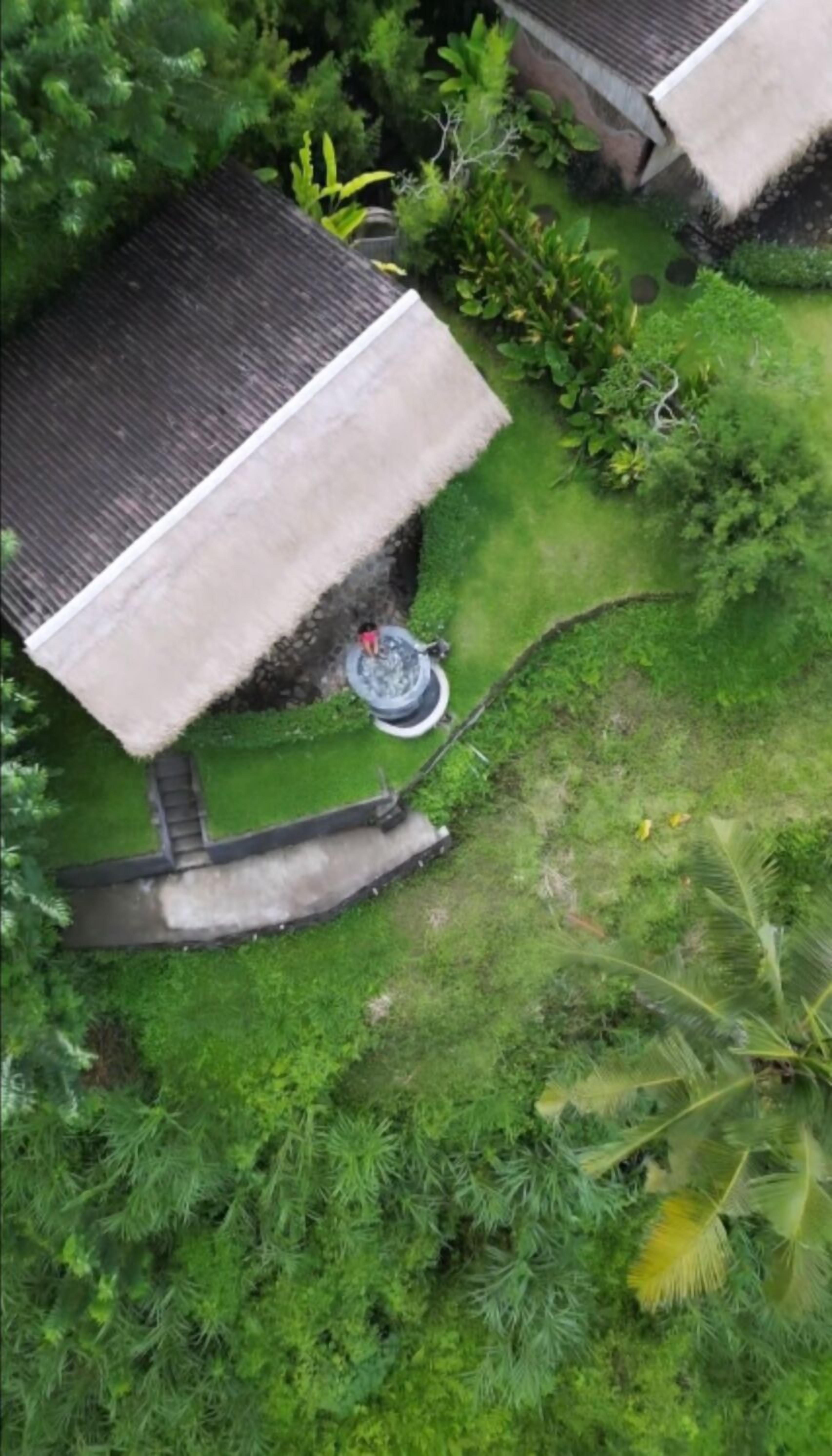 Estructura con techo de paja, con un sendero pavimentado que la lleva a ella, rodeada de exuberante vegetación y una palmera.