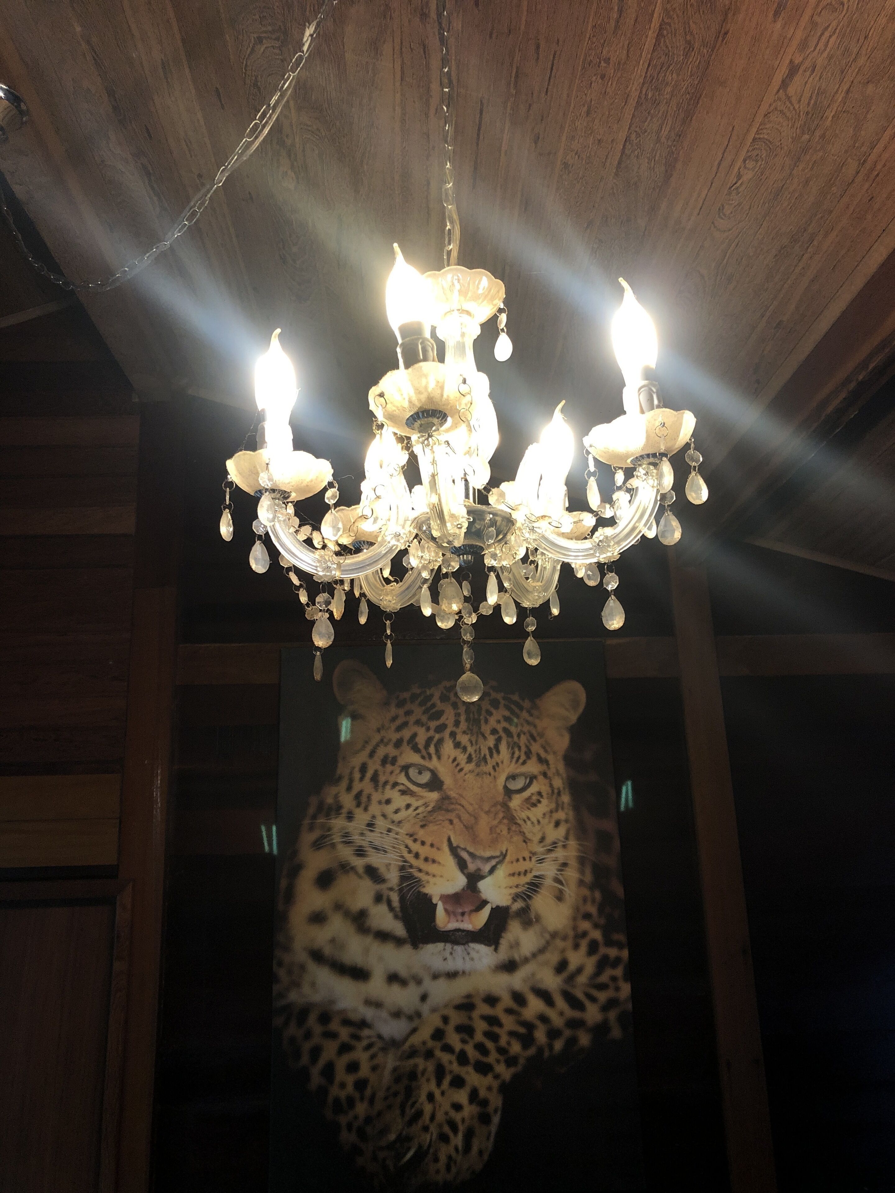 A chandelier with multiple candle-like lights and crystal decorations.