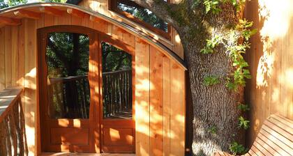 Cabane perchée / sauna & cold bath / shared natural swimming pool