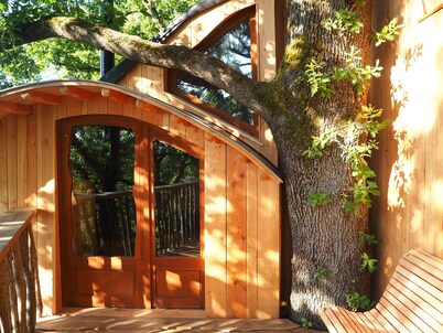Cabane perchée / sauna & cold bath / shared natural swimming pool