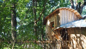 A wooden treehouse with a small window, surrounded by dense foliage. - Cabane perchée / sauna & cold bath / shared natural swimming pool (L'Isle-Bouzon)