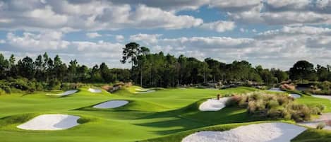 جولف