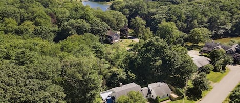 A residential area with houses surrounded by dense greenery and a lake.