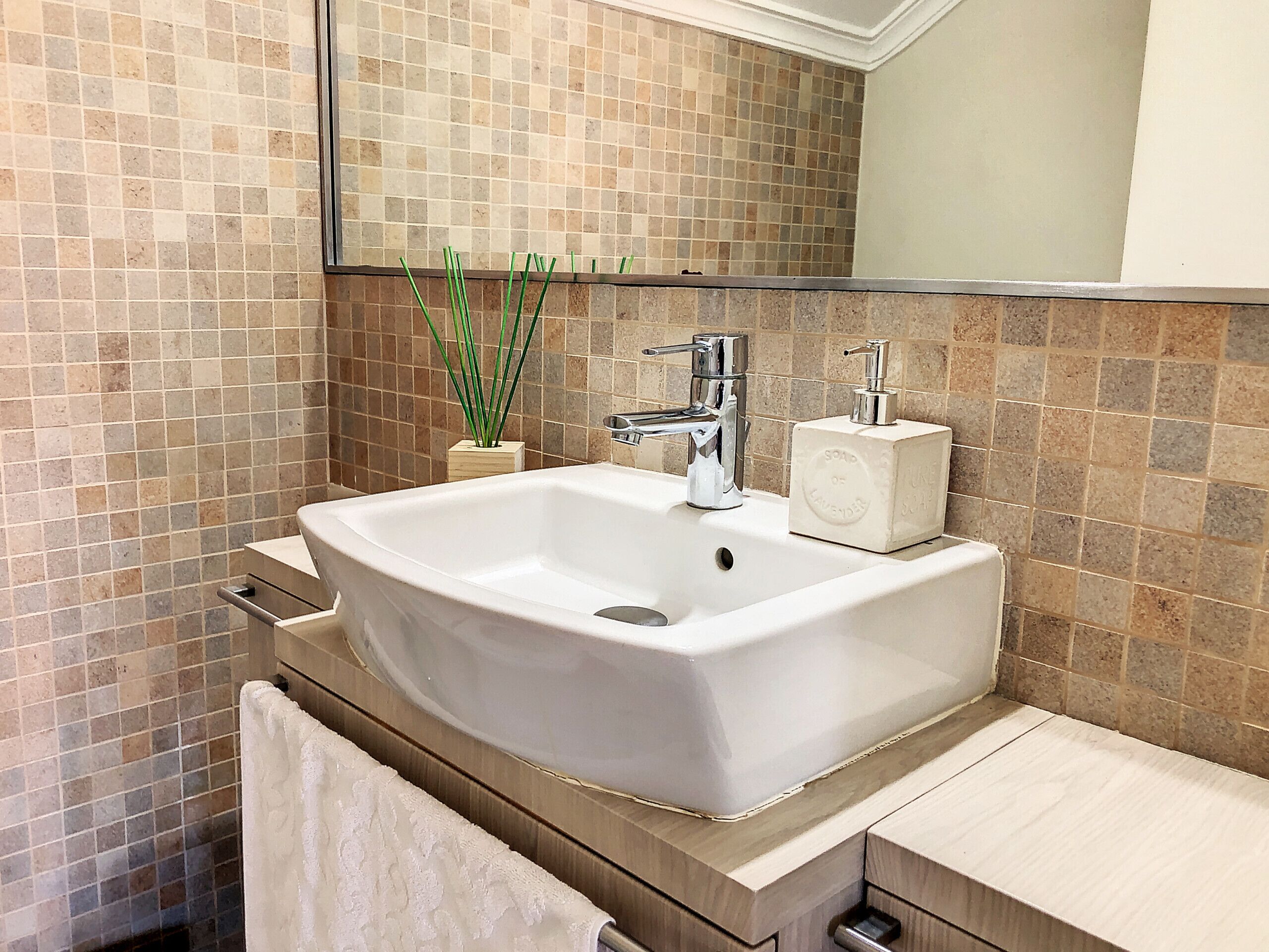 A bathroom with a white sink, a mirror, a soap dispenser, and a plant.