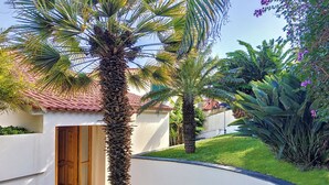 Une cour bordée de palmiers, un toit en tuiles et un bâtiment blanc avec une porte en bois.