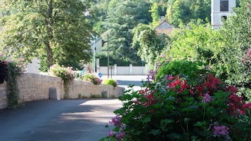 Land view from property
