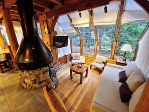 Smart TV, fireplace
