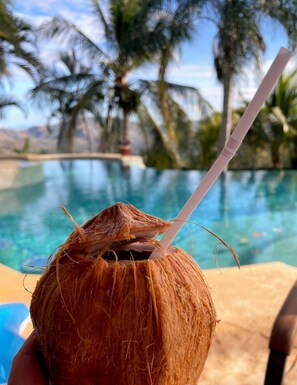 A close-up of a coconut with a straw, held over a pool with palm trees in the background. - Playa Potrero 4 BR Home Large Saltwater Pool Spectacular Views - Villa Oasis (Tempate)