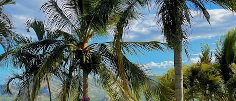 Villa | 4 bedrooms, travel crib