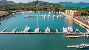 A marina with multiple docks and boats, surrounded by greenery and hills.