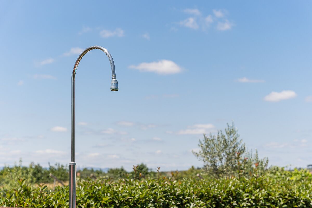 A single metal faucet against a clear sky and dense greenery.