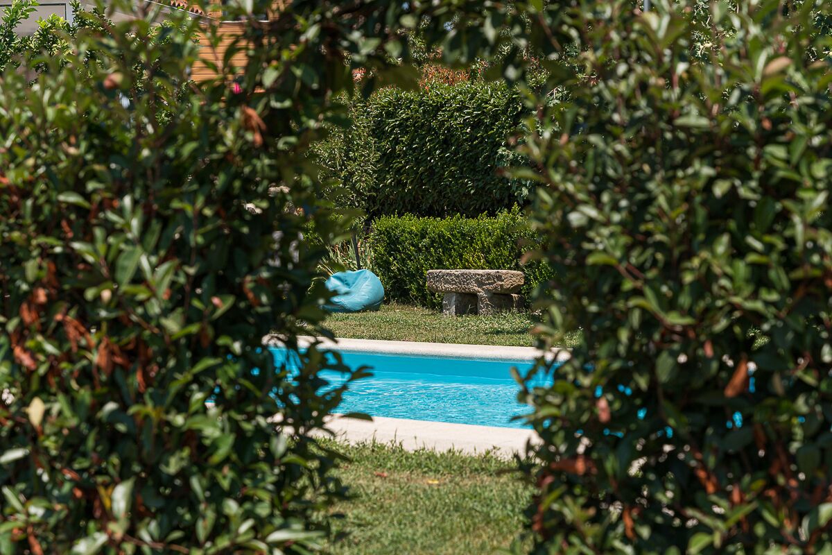 A swimming pool surrounded by lush greenery, with a stone bench and a blue bean bag chair.